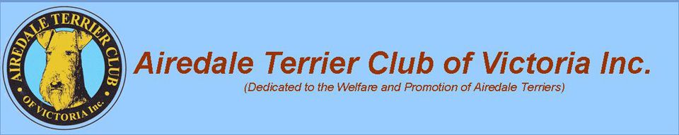 Airedale Terrier Club of Victoria (Australia)